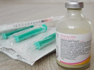 синулокс 500 мг для собак
