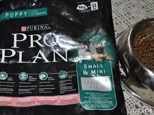 проплан гипоаллергенный для собак