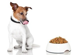 сухой корм для собак мелких пород