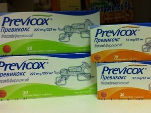 превикокс аналоги для собак