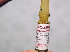 таблетки от аллергии для собак