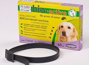 народные средства от блох у собак