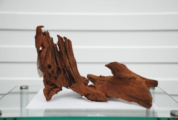 Мангровая коряга для аквариума на фото