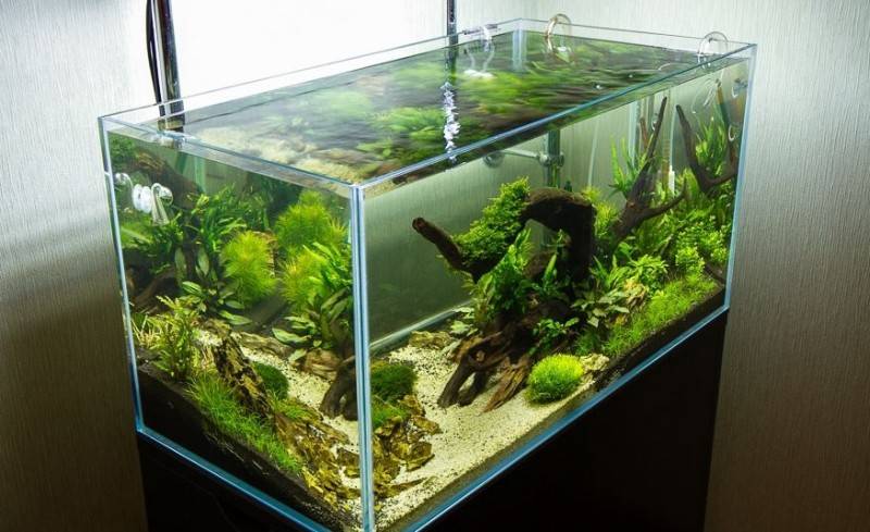 Бескаркасный аквариум из оргстекла