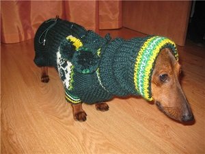 одежда для таксы вязание