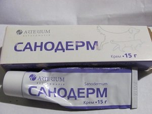 кожные заболевания у собак лечение