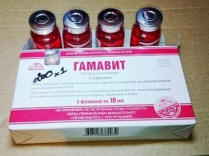 гамавит для собак цена