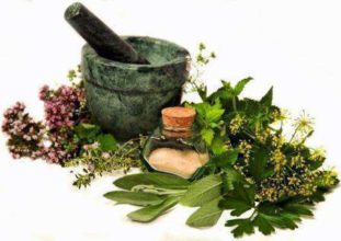 Как использовать полынь горькую, пижму и гвоздику от паразитов?