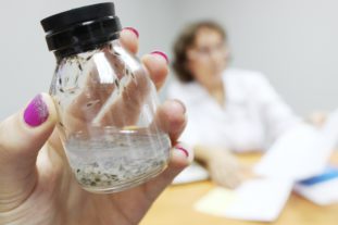 Какие основные причины и симптомы дифиллоботриоза?