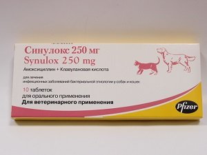 синулокс для собак цена