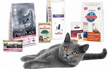 элитные корма для элитных кошек