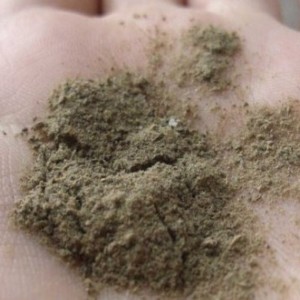 Бодяга для лица от прыщей отзывы Бодяга: эффективное средство от кожных проблем