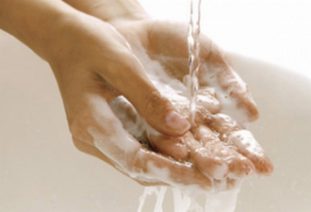 Виды профилактики гельминтозов у взрослых людей и их эффективность