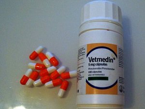 аналог ветмедина для собак