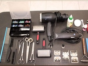 у цвергшнауцера после тримминга шерсть стала серой