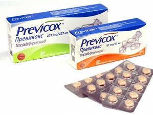 превикокс для собак отзывы