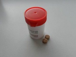 стоп стресс для собак отзывы