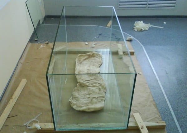 Как склеить аквариум читайте статью