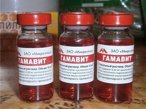 гамавит дозировка для собак